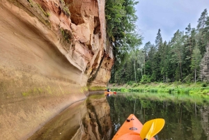 Desde Riga: Excursión de un día entero en kayak por el pintoresco valle del río Gauja