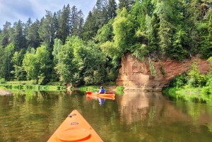 Desde Riga: Excursión de un día entero en kayak por el pintoresco valle del río Gauja