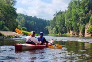Desde Riga: Excursión de un día entero en kayak por el pintoresco valle del río Gauja