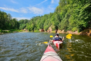 Desde Riga: Excursión de un día entero en kayak por el pintoresco valle del río Gauja