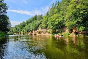 Desde Riga: Excursión de un día entero en kayak por el pintoresco valle del río Gauja