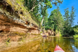Desde Riga: Excursión de un día entero en kayak por el pintoresco valle del río Gauja