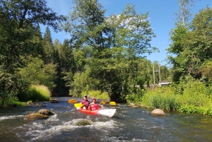Desde Riga: Excursión de un día entero en kayak por el pintoresco valle del río Gauja
