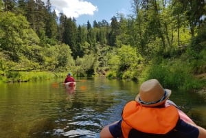From Riga: Full-Day Scenic Gauja River Valley Kayaking Trip