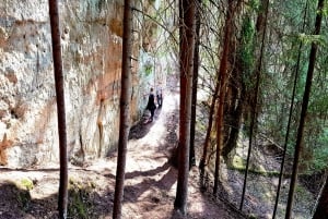 From Riga: Gauja National Park Full-Day Hike