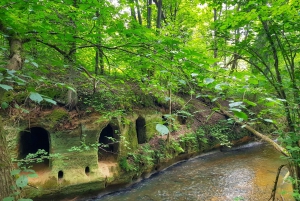 From Riga: Gauja National Park Hiking & Sightseeing Trip