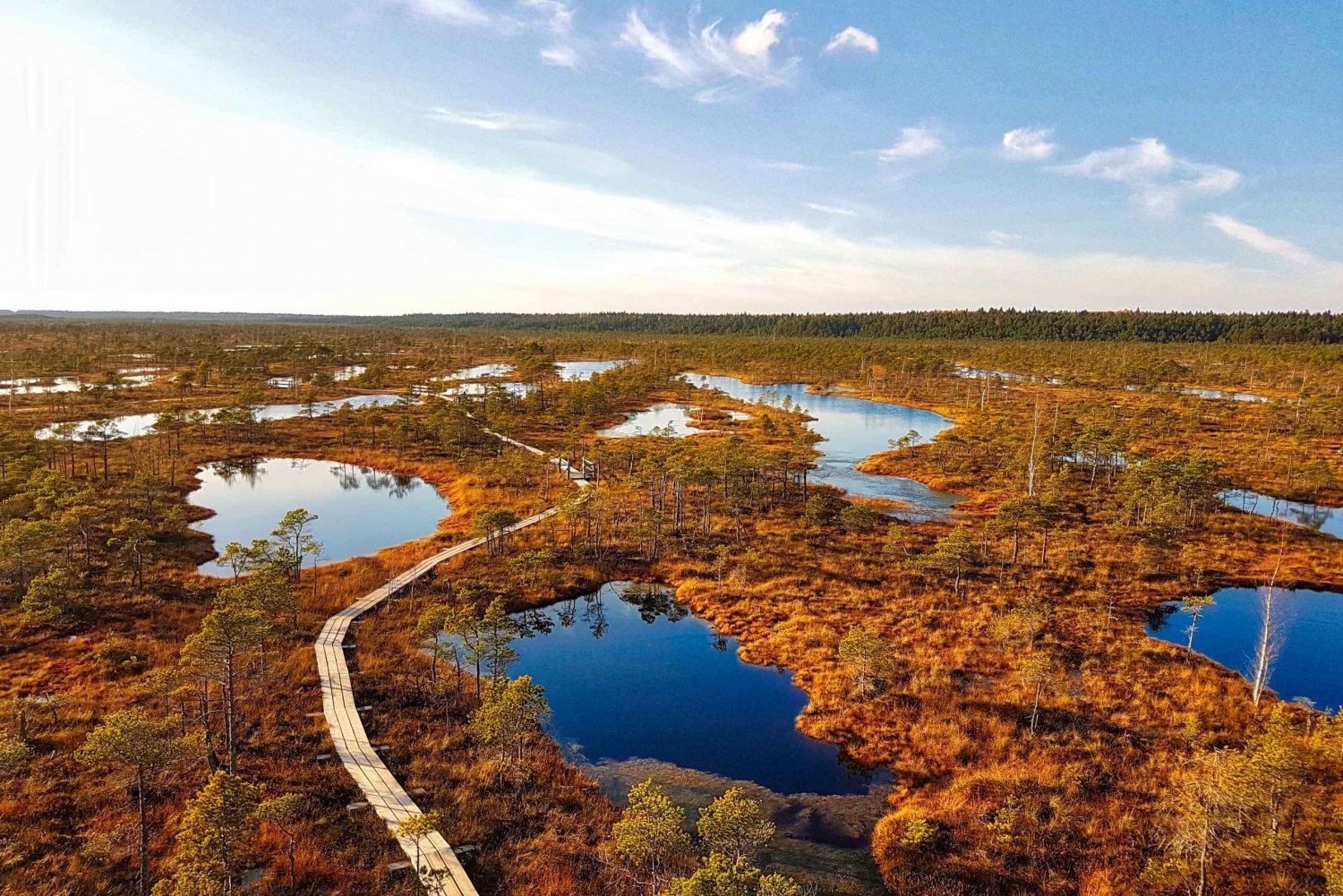 Riga: o melhor do Parque Nacional de Kemeri em um dia