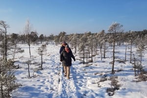 From Riga: Half-Day Adventure In Kemeri National Park