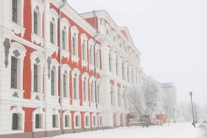 Au départ de Riga : visite en groupe de la colline des croix et de l'enchanteresse Jelgava