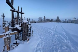 From Riga: Hill of Crosses & Jelgava Gems Tour