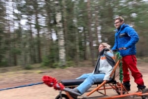 From Riga: Husky Sledding or Wheel Cart Tour