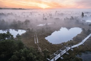 Riga: Jūrmala & Ķemeri National Park Tour with Picnic