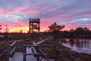 Riga: Jūrmala & Ķemeri National Park Tour with Picnic