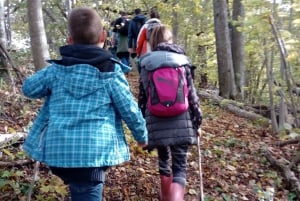 From Riga/Jurmala: Gauja National Park Guided Hiking Tour