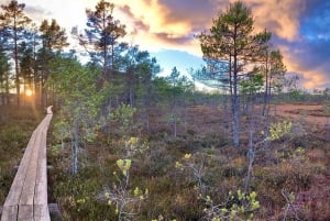 Jurmala,Kuldiga,Ragaciemsin ranta, Kemeri N puisto, Ruoka ja juoma