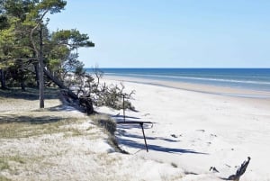 Jurmala,Kuldiga,Ragaciemsin ranta, Kemeri N puisto, Ruoka ja juoma