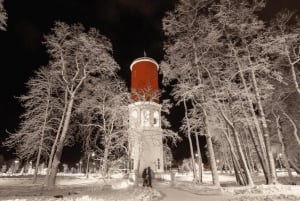 From Riga: Jūrmala & Ķemeri National Park Tour with Picnic