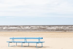 From Riga: Jūrmala & Ķemeri National Park Tour with Picnic