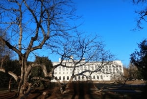 From Riga: Jūrmala & Ķemeri National Park Tour with Picnic