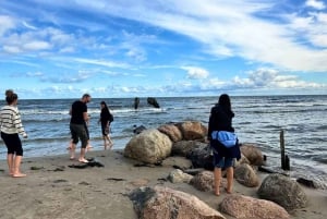 Från Riga: Jurmala och Kemeri + picknick (delad/privat)