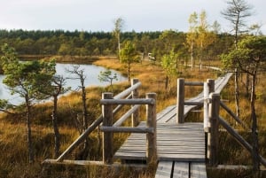 From Riga: Kemeri National Park and Kuldiga Tour