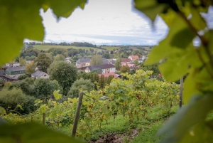 Z Rygi: Kuldiga UNESCO, wodospad i wino – wycieczka 1-dniowa