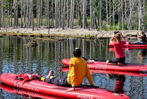 From Riga: Latvian jungle tour with paddle board