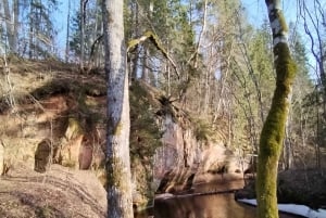 Fra Riga: Landsbyen Ligatne og nasjonalparken Gauja River ...