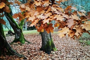 From Riga: Ligatne Village and Gauja River National Park …