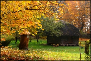 Fra Riga privat omvisning til Tallinn med naturskjønne stopp