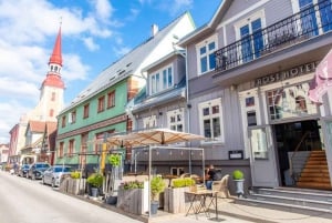 De Riga: Transferência Privada para Tallinn com Sightseeing