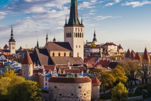 Fra Riga: Privat transport til Tallinn