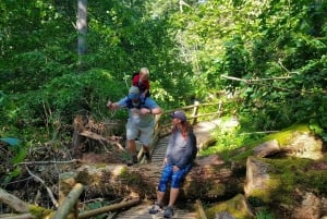 From Riga: Slītere National Park Latvian Nature Hiking Tour