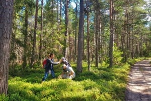 De Riga: Excursão de caminhada na natureza letã do Parque Nacional Slītere