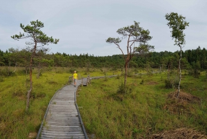 From Riga: Slītere National Park Latvian Nature Hiking Tour