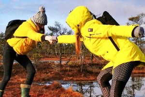 From Riga: sunrise hike with bog shoes and breakfast