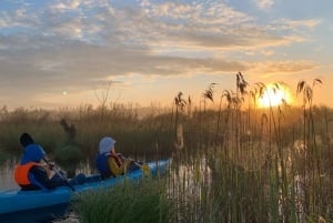 Vanuit Riga: Zonsopgang Kajak of Paddleboard Tour met Pick-Up