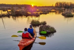 Vanuit Riga: Zonsopgang Kajak of Paddleboard Tour met Pick-Up