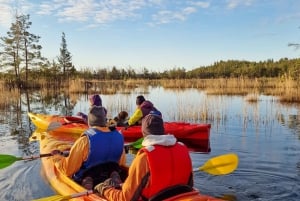 Vanuit Riga: Zonsopgang Kajak of Paddleboard Tour met Pick-Up
