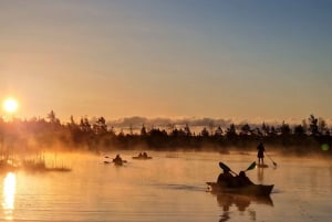 Vanuit Riga: Zonsopgang Kajak of Paddleboard Tour met Pick-Up