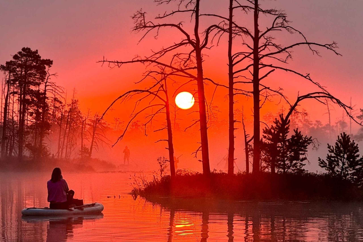 From Riga: Sunrise SUP Tour with Pick-Up at Cenas Tīrelis