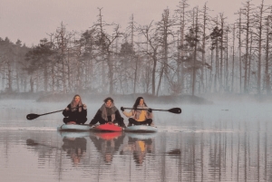 From Riga: Sunrise SUP Tour with Pick-Up at Cenas Tīrelis