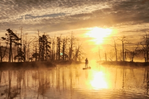 From Riga: Sunrise SUP Tour with Pick-Up at Cenas Tīrelis