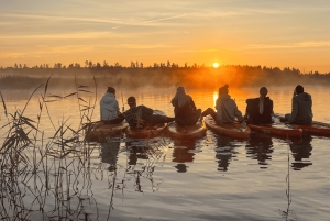From Riga: Sunrise SUP Tour with Pick-Up at Cenas Tīrelis