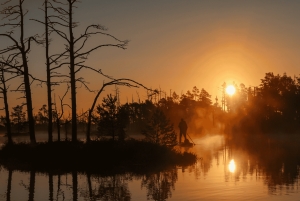 From Riga: Sunrise SUP Tour with Pick-Up at Cenas Tīrelis