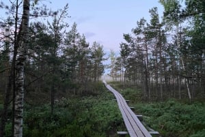 De Riga: Viagem ao Parque Nacional Kemeri e Jurmala