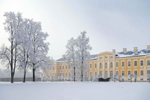 Desde Riga: Viaje al Palacio de Rundale y al castillo de Bauska