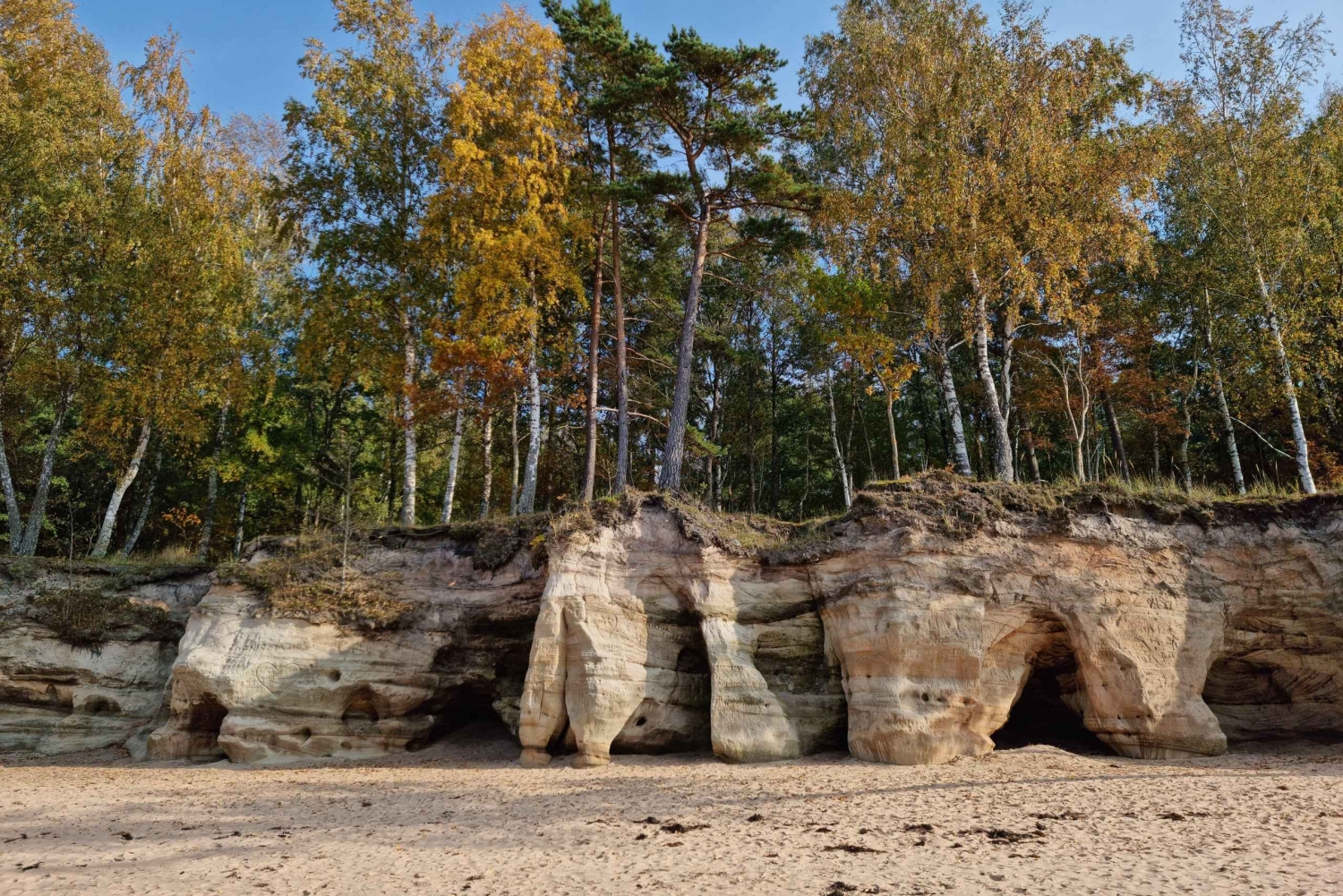 Fra Riga: Halvdagstur til Vidzeme-kysten med lunsj