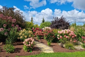 Riiasta: Vidzemen rannikon puolipäiväretki lounaalla