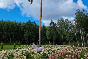 Riiasta: Vidzemen rannikon puolipäiväretki lounaalla